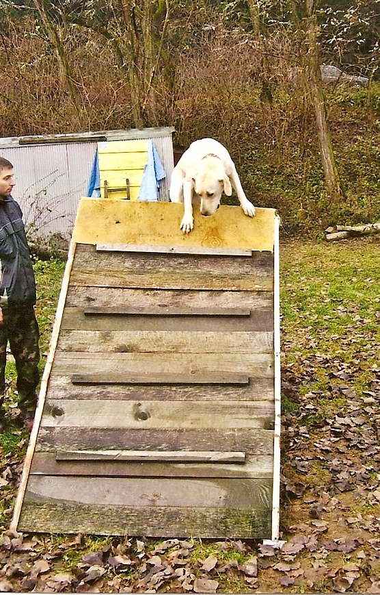 Překážky